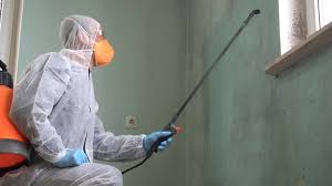  Ridley Rk, PA Mold Removal Pros