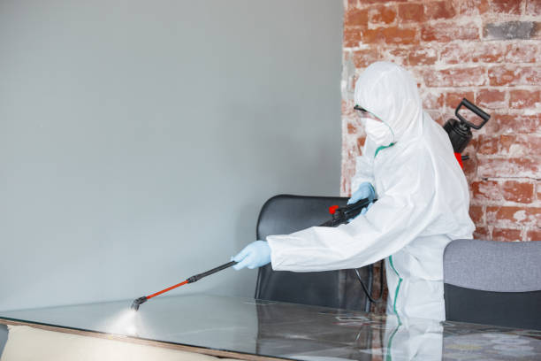 Best Water Damage & Mold Remediation in Ridley Rk, PA